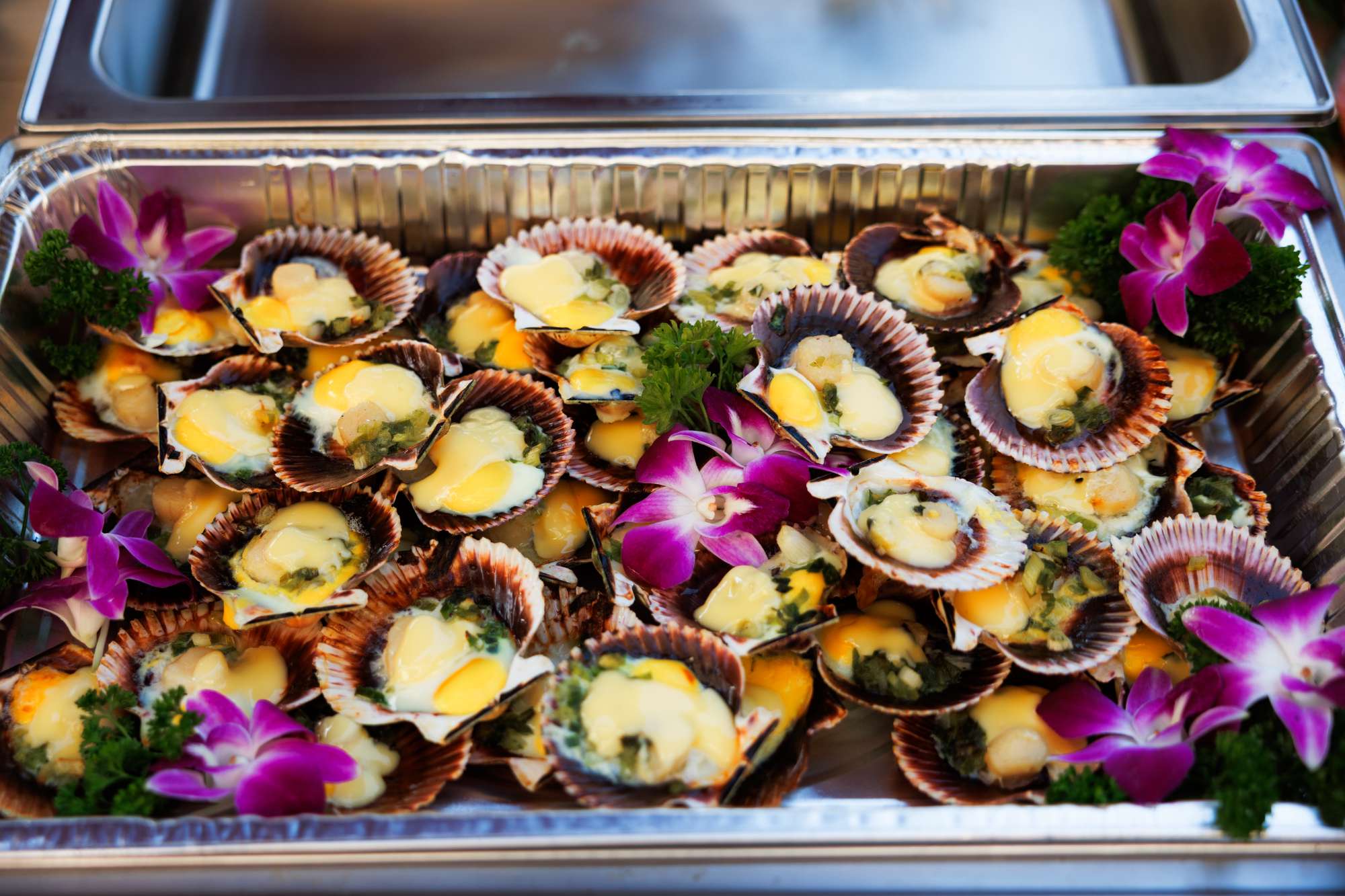 Grilled Scallop